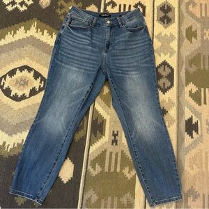 Judy Blue Slim Fit Denim Jeans Size 14W Style #JB82294-JS MD